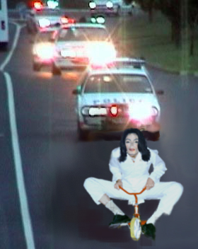 michael_jackson_on_the_run.jpg